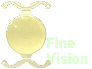 Finevision